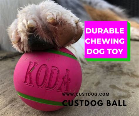 A Unique Bond: Crafting a Personalized Dog Toy