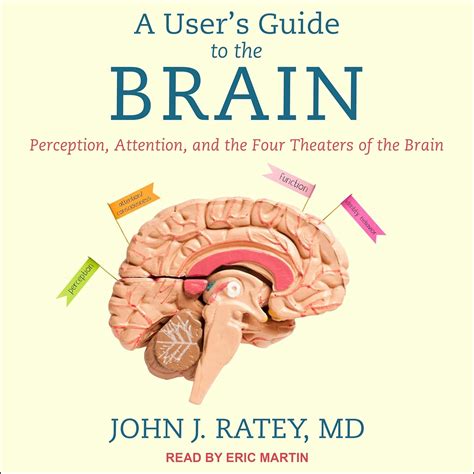 A User s Guide to the Brain Perception Attention and the Four Theaters of the Brain Kindle Editon