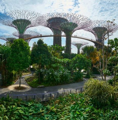 A Visual Oasis: Gardens by the Bay in Singapore