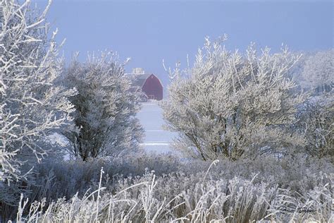 A Winter's Embrace