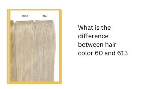 A World of Color: Exploring 613 Hair Color Shades