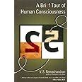 A.Brief.Tour.of.Human.Consciousness.From.Impostor.Poodles.to.Purple.Numbers Ebook Epub