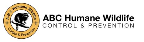 ABC Humane Wildlife Control and Prevention: An Essential Guide for Homeowners and Businesses