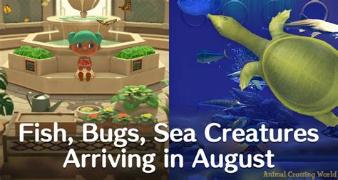 ACNH August Bugs: Catch 'Em All!