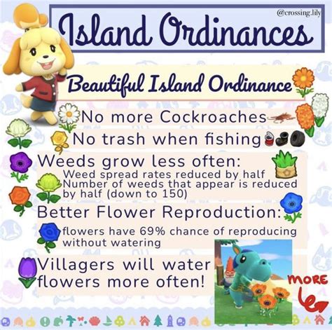 ACNH Ordinances: A Comprehensive Guide to Island Laws