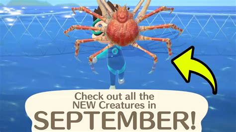 ACNH September Sea Creatures: A Comprehensive Guide to Catching All 12 Marine Denizens