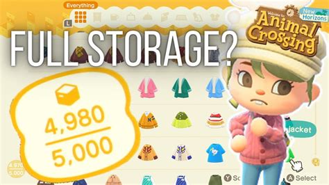 ACNH Storage Shed: 10,000+ Ways to Declutter Your Island