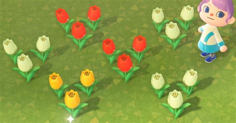 ACNH Tulips: 99% Complete Guide to Hybrids, Colors, & More