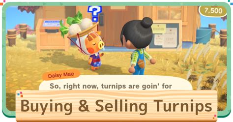 ACNH Turnip Prices: The Ultimate Guide to Maximizing Profits in Animal Crossing