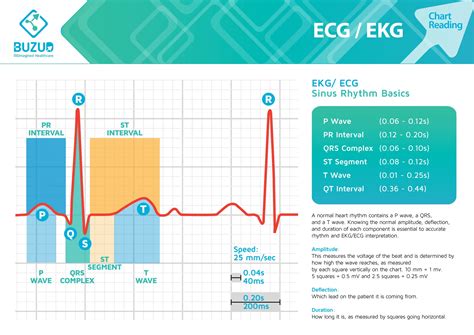 ADS1220IPWR: 50,000+ Reasons to Upgrade Your ECG Measurement System