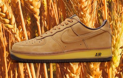 AF1 Wheat: Unmasking the "Bully" of the Wheat World