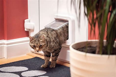 AI Cat Door 2025: Microchip Cat Door Review