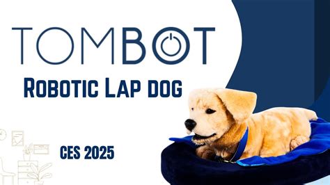 AI Robot Pet Review: Ultimate Guide to Robot Companionship in 2025