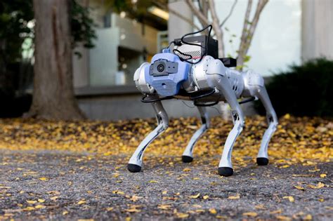 AI Robot Pets VS Pet Fear and Anxiety: 2025 Revolution