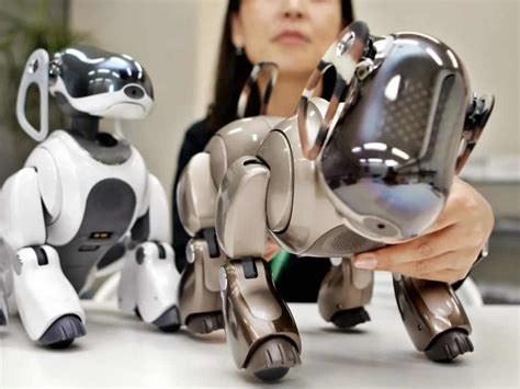 AI Robot Pets vs. Traditional Pets: A 2025 Comparison