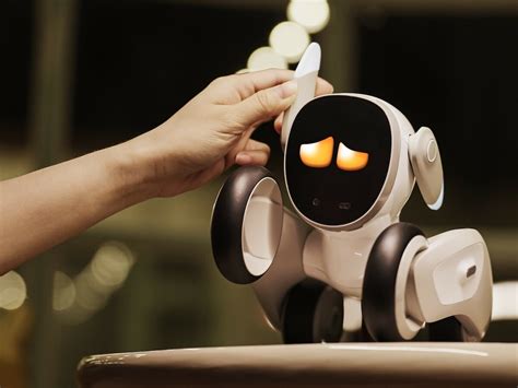 AI robot pet and pet-friendly restaurants