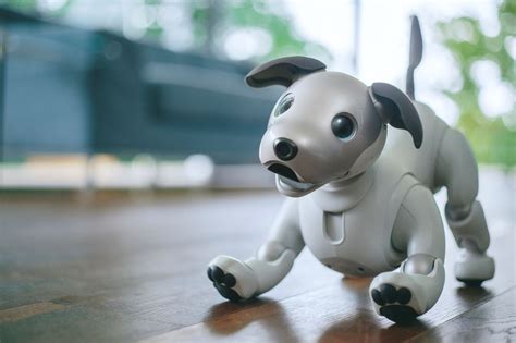 AI robot pets: The future of pet ownership