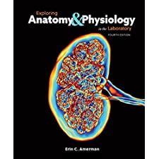 AMERMAN EXPLORING ANATOMY PHYSIOLOGY IN THE LABORATORY ANSWER KEY Ebook Reader