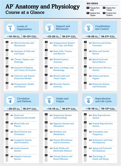 AP Anatomy & Physiology: 101 Intriguing Insights