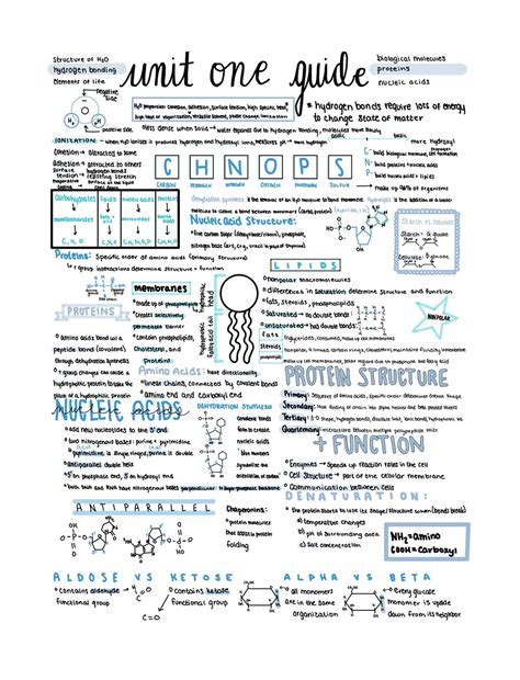 AP Biology Unit 1 Quizlet: Master the Fundamentals of Life