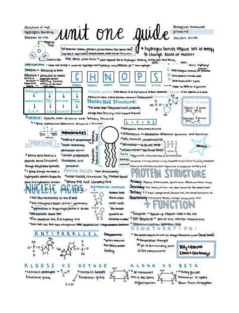 AP Biology Unit One Review: