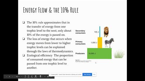 AP Environmental Science Unit 1 Review: Systems, Energy, and Matter