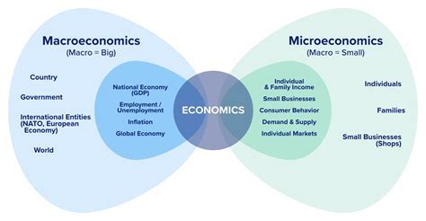 AP Macro vs. Micro: A Comprehensive Comparison Guide for Economics Students