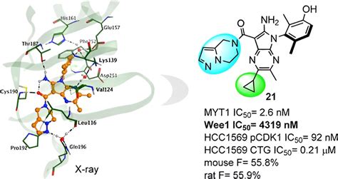 API Amgen 501: A Revolutionary Breakthrough in Cancer Treatment