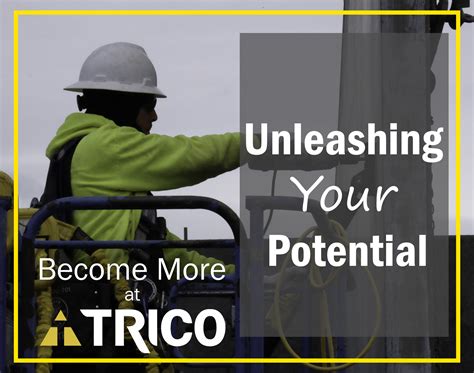 APS Careers AZ: Unleashing Your Potential in the Public Sector
