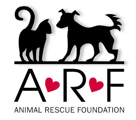 ARF Animal Rescue Foundation: Transforming 75,000 Lives and Counting