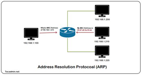 ARP (Address Resolution Protocol)