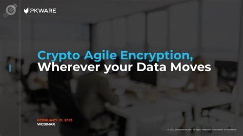 ASM Crypto: Enhancing Data Security with Agile and Scalable Encryption