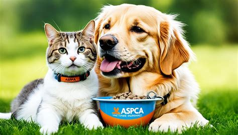 ASPCA Animal Insurance: Comprehensive Coverage for Your Furry Friend