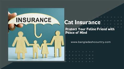 ASPCA Cat Insurance: Protect Your Feline Friend with Peace of Mind