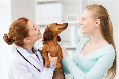 ASPCA Pet Health Insurance: A Comprehensive Guide for Dog Owners