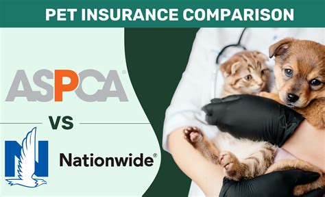 ASPCA pet insurance review 2025: Top pick VS the rest