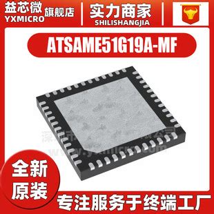 ATSAME51G19A-MF