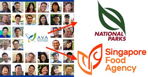 AVA: Ensuring Singapore's Agri-Food & Veterinary Safety Since 2000