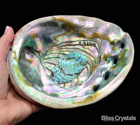 Abalone Crystal: A Gift from the Sea