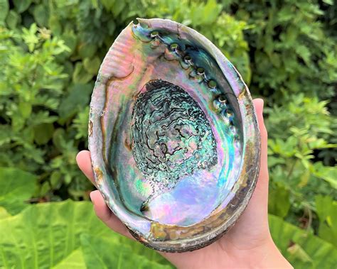 Abalone Crystal: Nature's Iridescent Gemstone