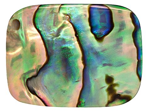 Abalone Crystal: The Iridescent Sea Gem of Transformation and Growth