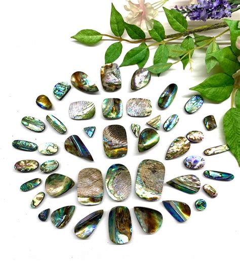 Abalone Crystal: The Shimmering Symbol of Emotional Healing and Protection