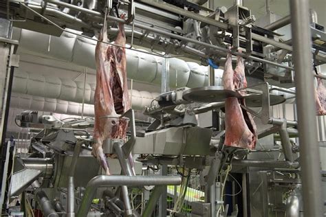 Abattoir of Zir: Deciphering the Intricate Labyrinth of the Meat-Processing Industry