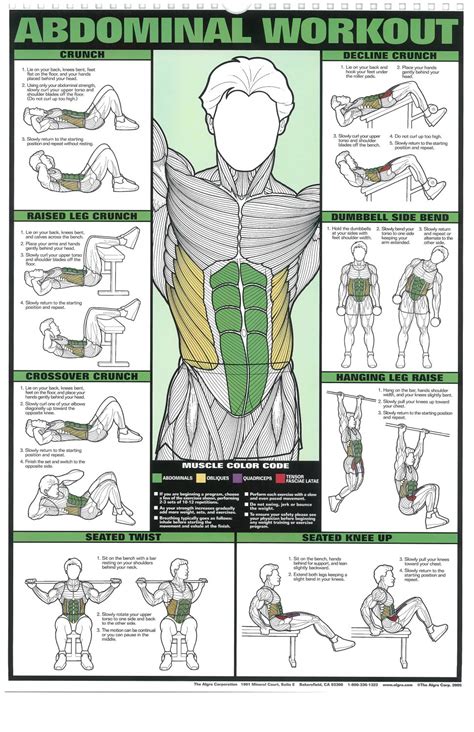 Abdominal Workout Chart