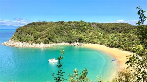 Abel Tasman National Park: A Guide to New Zealand's Coastal Gem