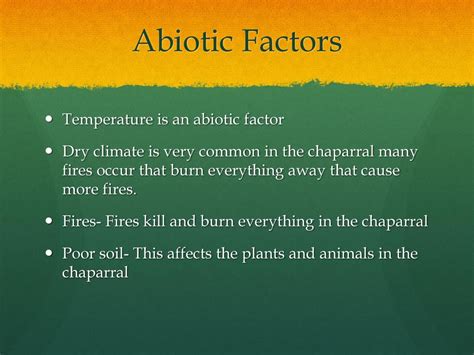 Abiotic Factor Stuck After Burning Web: Unraveling the Environmental Impact