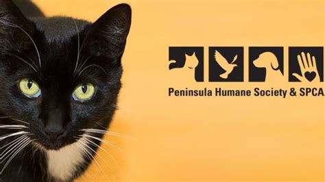 About Peninsula Humane