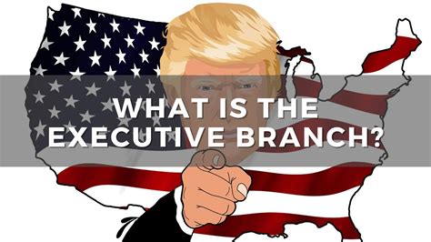 About the Executive