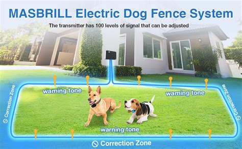 Above Ground Dog Fence: Unleashing the Freedom of Invisible Boundaries