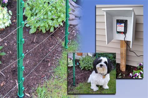 Above Ground Electric Fence for Dogs: The Ultimate Guide